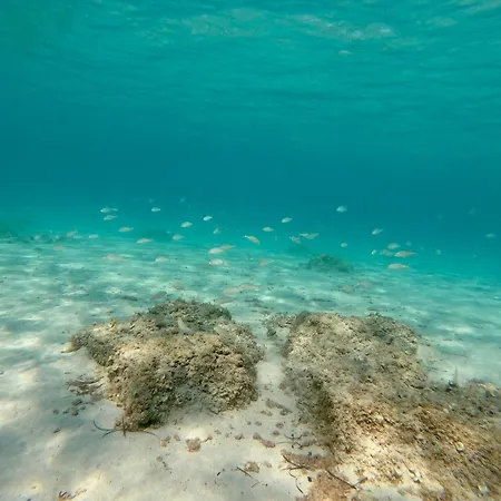 Сasa de vacaciones Nido Del Mar Lendinuso
